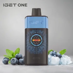 iget-one-blueberry-ice